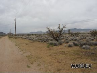 COWLIC LT 10, Golden Valley, AZ Image #9951683
