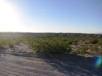 1815 Gardner Rd, Fort Mohave, AZ Image #9952481