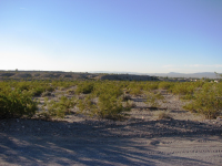 1815 Gardner Rd, Fort Mohave, AZ Image #9952476