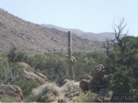 5876 Rock Ledge, Yucca, AZ Image #9953236