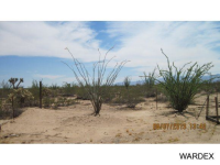 14390 Cactus Rd, Yucca, AZ Image #9953398
