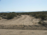 16235 S Shep Lane, Yucca, AZ Image #9953409