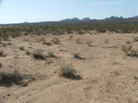 16235 S Shep Lane, Yucca, AZ Image #9953401