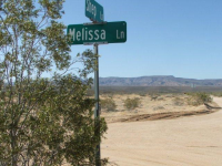 16235 S Shep Lane, Yucca, AZ Image #9953404