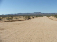 16235 S Shep Lane, Yucca, AZ Image #9953407