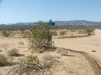 16235 S Shep Lane, Yucca, AZ Image #9953405