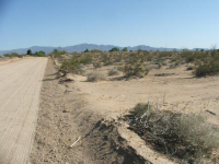 16235 S Shep Lane, Yucca, AZ Image #9953410