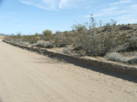 16775 S Douglas Ln, Yucca, AZ Image #9953421