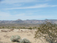 16775 S Douglas Ln, Yucca, AZ Image #9953411