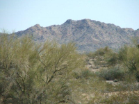 16775 S Douglas Ln, Yucca, AZ Image #9953414