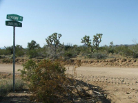 2254 Javalina Road, Yucca, AZ Image #9953502