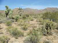 0000 Kinnard Road, Yucca, AZ Image #9953553