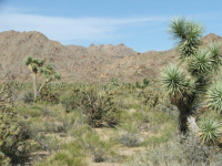 0000 Kinnard Road, Yucca, AZ Image #9953554