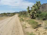 0000 Kinnard Road, Yucca, AZ Image #9953557
