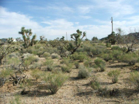 0000 Kinnard Road, Yucca, AZ Image #9953556