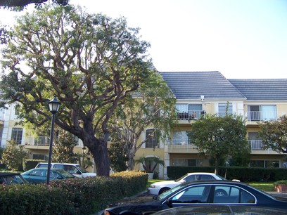 500 Cagney Lane 101, Newport Beach, CA Main Image