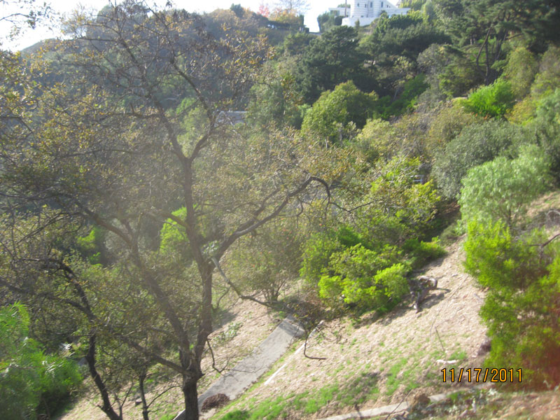 Lot 20 Mulholland Dr, Beverly Hills, CA Main Image