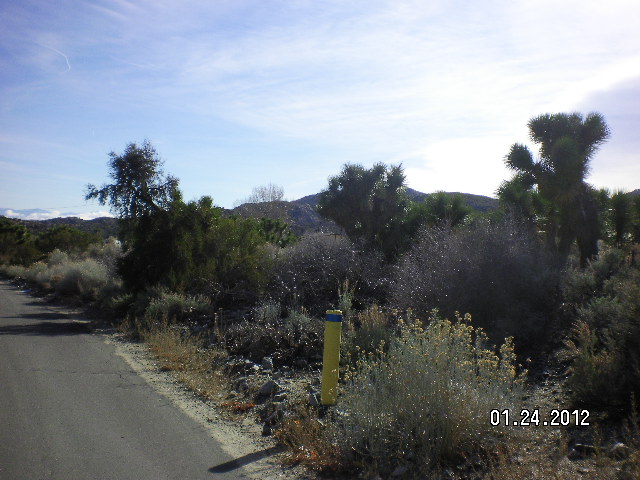 306554 Apn, Pinon Hills, CA Main Image