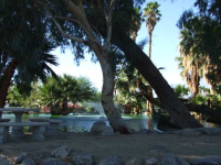 17555 Corkill Rd., #32, Desert Hot Springs, CA Image #4100706