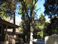 9400 Lilac Drive, Forest Falls, CA Image #4127136