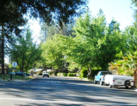 572 Packard Drive, Grass Valley, CA Image #4671131