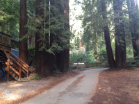 15126 Sequoia Road, Guerneville, CA Image #4672002