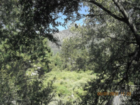 2305 Alpen Ct, Pine Mountain Club, California  Image #4764919