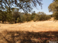 5375 Dogtown Rd, Coulterville, California  Image #4765303