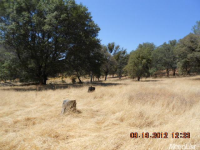 5375 Dogtown Rd, Coulterville, California  Image #4765302