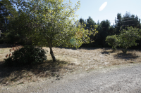 17151 Redwood Springs Dr, Fort Bragg, California  Image #4775215
