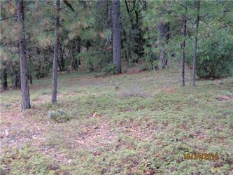 1.2 Ac Lot 22 Trailhead Planned Ut, Foresthill, CA Main Image