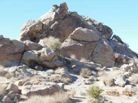 8022 Wesley Rd, Joshua Tree, California  Image #4791006