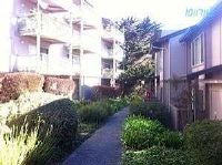 382 Imperial Way Apt 4, Daly City, California  Image #4798689