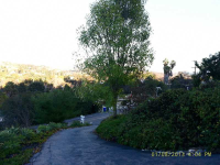 3836 Calavo Dr, Spring Valley, California  Image #5208798