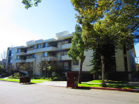 1305 N Columbus Avenue Unit 210, Glendale, CA Image #5488695