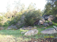 43375 Oak Grove Ct E, Coarsegold, California Image #5905327