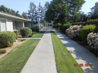 303 E Bullard Ave Apt 107, Fresno, California  Image #6630687