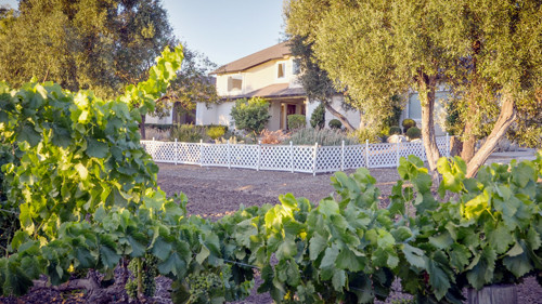 Vineyard estate, Hollister, CA Main Image