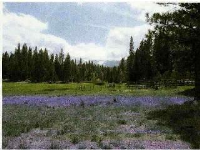 Lot 48 Meadow Lane So., North Fork, CA Image #7550482