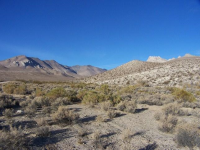 64 Indian Wells Canyon Rd 13302, Inyokern, CA Image #7550866