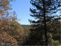 photo for 11958 Sunshine Valley Rd