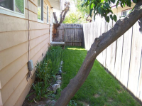 360 Magnolia Ter, Gridley, CA Image #7557248