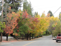 514 Nevada St, Nevada City, CA Image #7560568