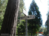 12515 Mayflower Dr, Nevada City, CA Image #7560637