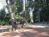 13449 Wintergate Ln, Nevada City, CA Image #7560642