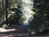 13449 Wintergate Ln, Nevada City, CA Image #7560645