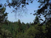 13449 Wintergate Ln, Nevada City, CA Image #7560644