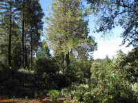 13449 Wintergate Ln, Nevada City, CA Image #7560640