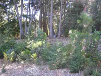 13449 Wintergate Ln, Nevada City, CA Image #7560641