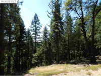 12161 Casci Ct, Nevada City, CA Image #7560687